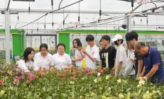 肥西：玫瑰（月季）科技小院正式揭牌