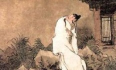 春雨来，杏花开，你有好的诗句杰作瓜分吗？