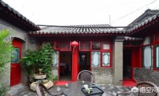 天井不妨种哪些参观植被或树？
