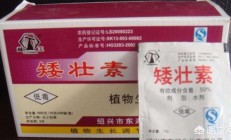 罕见的花草成长安排剂都有哪些？它们都起什么效率？