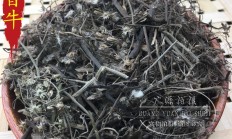 咸虾花，狗仔花药材图片