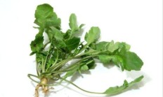 荠菜饺子里的荠菜要不要用沸水焯一下?感化口感吗？