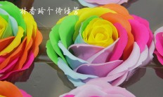 七色彩虹花(七彩花是什么花)