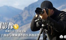 小白刚动手尼康D750单反？接洽拍梅花图片运用什么画面符合？