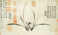 你觉得谁的兰花画的最佳？