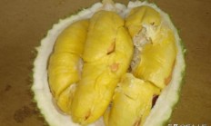 榴莲公母辩别举证？