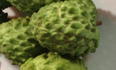 蜜释迦(蜜释迦怎么吃)