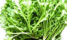 荠菜有哪些样式特性和工效？