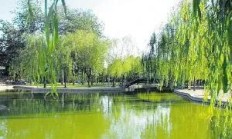 晒晒本人养的花，让大师观赏一下不妨吗？