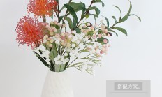 针垫花，针垫花的价格是多少