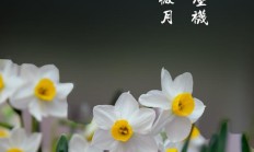 抗疫期间如何在家中拍出好照片？
