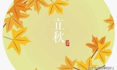 老农说，立秋后，但凡能结籽的植被，花卉都发端结籽了，是真的吗？