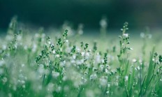 赶快春天了，拍照有哪些拍摄花卉的本领，不妨带图瓜分一下吗？
