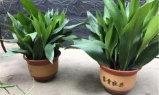 冬天怎么样？