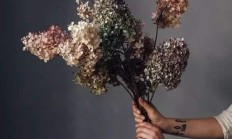 屋里符合摆干花吗？