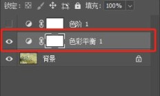 拍照如何拍雪花莲？
