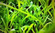 #春天来了#恰是一年赏花季，来晒晒你往年的“春意”吧？