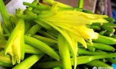 有哪些植被花是不妨吃的？还好吗烹调？