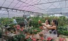绿植鲜花传递感恩心意 石首商家用行动致敬“园丁”