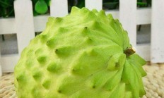 凤梨释迦，十大名贵水果