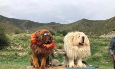 不妨瓜分少许你亲手拍摄的天然良辰美景高清原图并说说你是怎样拍摄的吗？