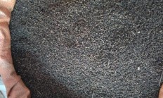 谁领会这个是什么，传闻不妨泡茶喝？