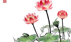 荷花简介，荷花大全大图片欣赏