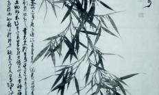 竹生，竹生菌的功效与作用