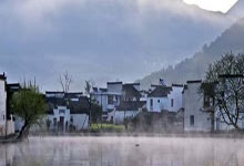 藿香蓟（胜红蓟、咸虾花、毛麝香、蝶子草、南风草、柳仔黄、白花草、白花臭草）