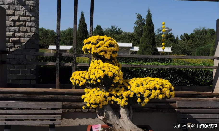 北京南城植物园 - 世界花园盛大景观