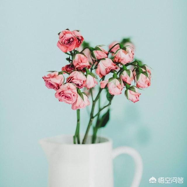 赶快春天了，拍照有哪些拍摄花卉的本领，不妨带图瓜分一下吗？