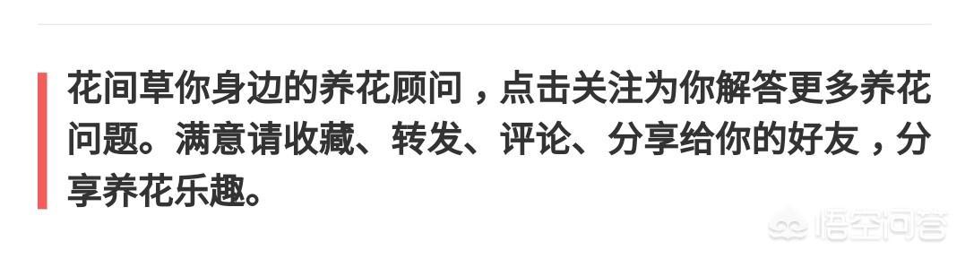 罕见的花草成长安排剂都有哪些？它们都起什么效率？