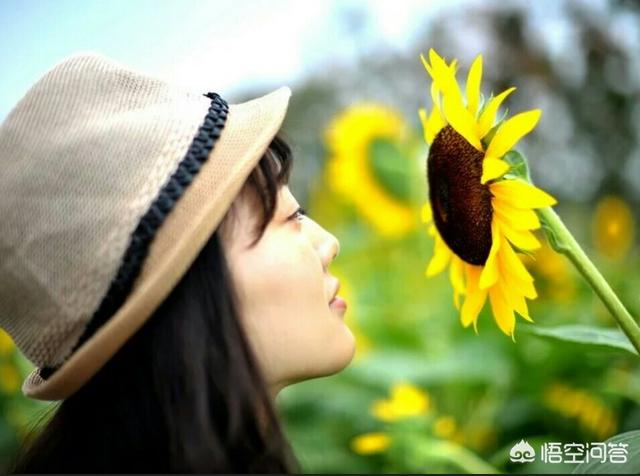 怎样在葵花花田中，拍场面的人相片？