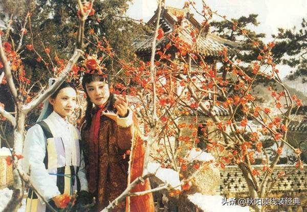 在《红楼梦》中，琉璃世界白雪红梅一集中展示了两张白雪红梅的照片，谁更美？
