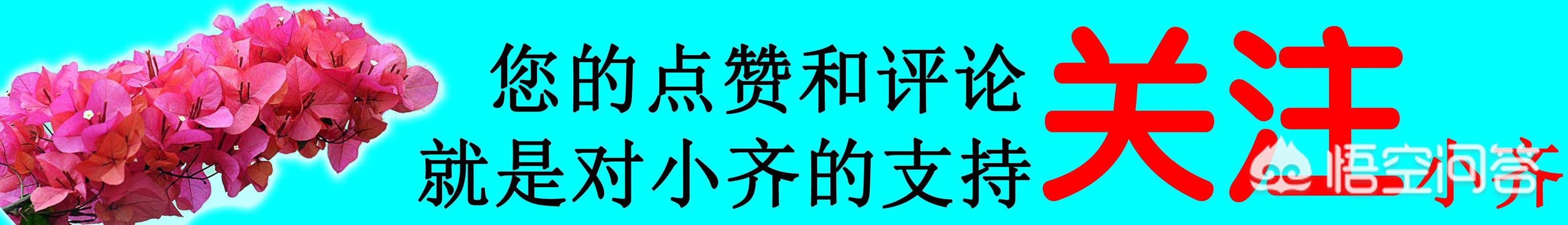 盆栽茶花要如何换盆？