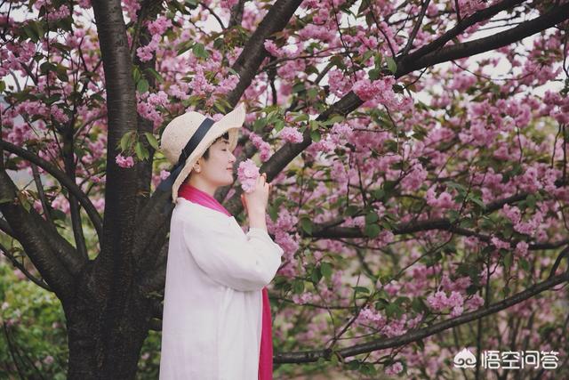 运用樱花拍摄人物照穿什么脸色的衣物比拟好？