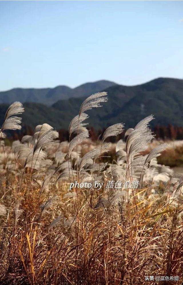 秋天的:你是还好吗拍秋天的？