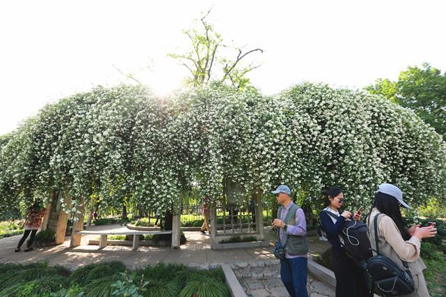 花繁木暖(花繁叶茂电视剧完整版)