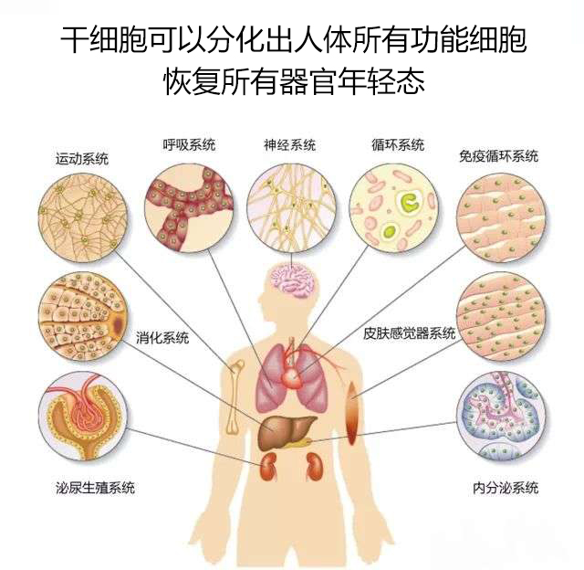 怎样让他性功能丧失(报复人无色无味的药)