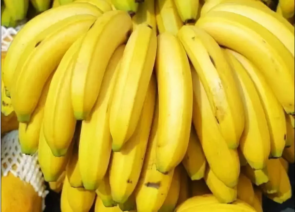 香蕉的图片，香蕉的功效与作用