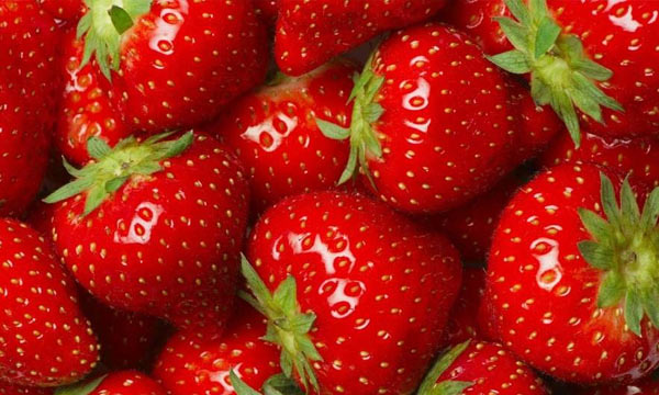 草莓的，草莓的寓意