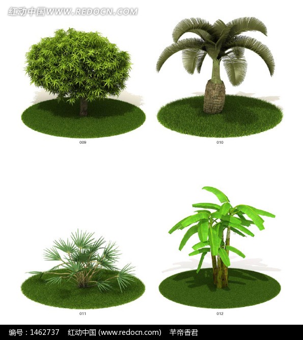 园林植物，常见绿化树名称及图片
