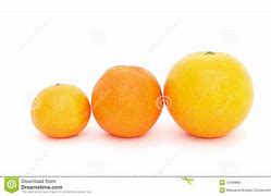 柑橘属，柑橘类水果27种详细介绍